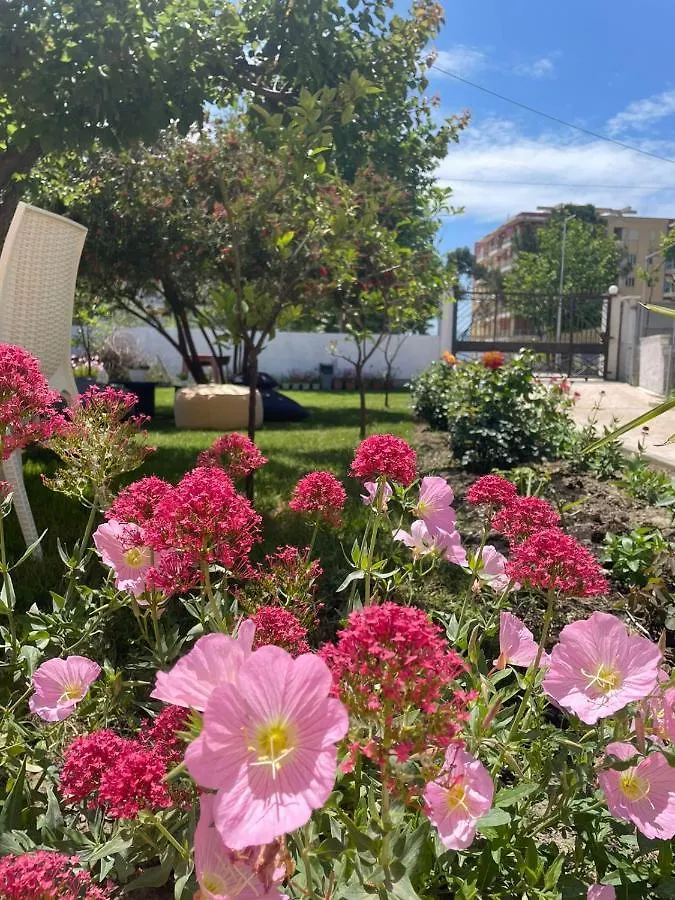 Rent Rooms Loren Vlore 0*,