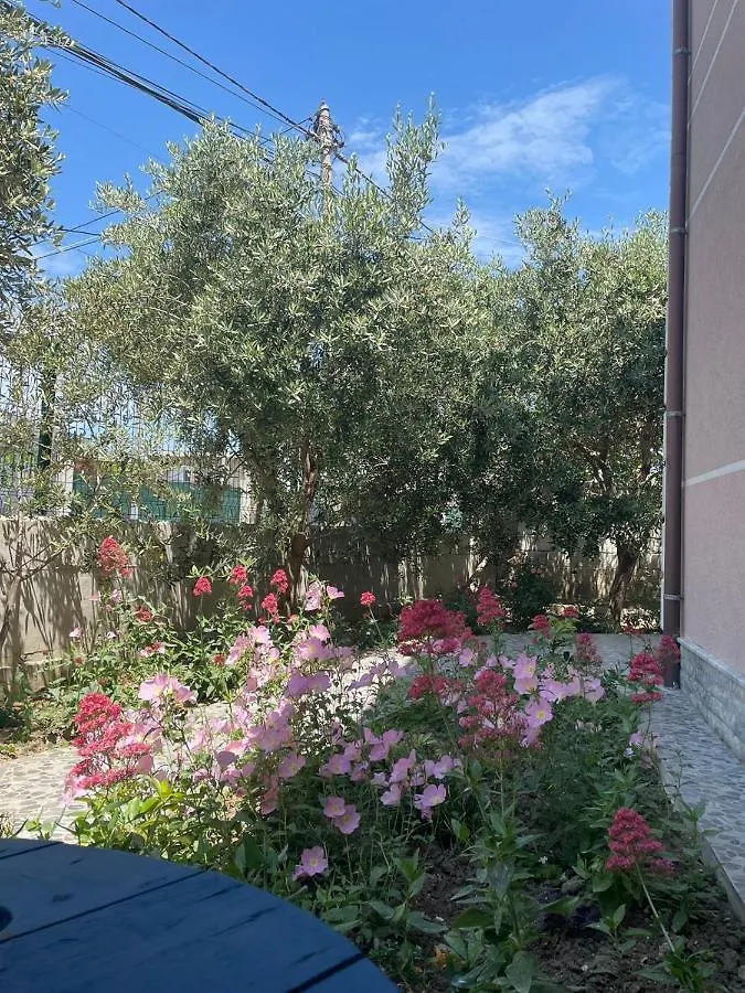 Holiday home Rent Rooms Loren Vlore