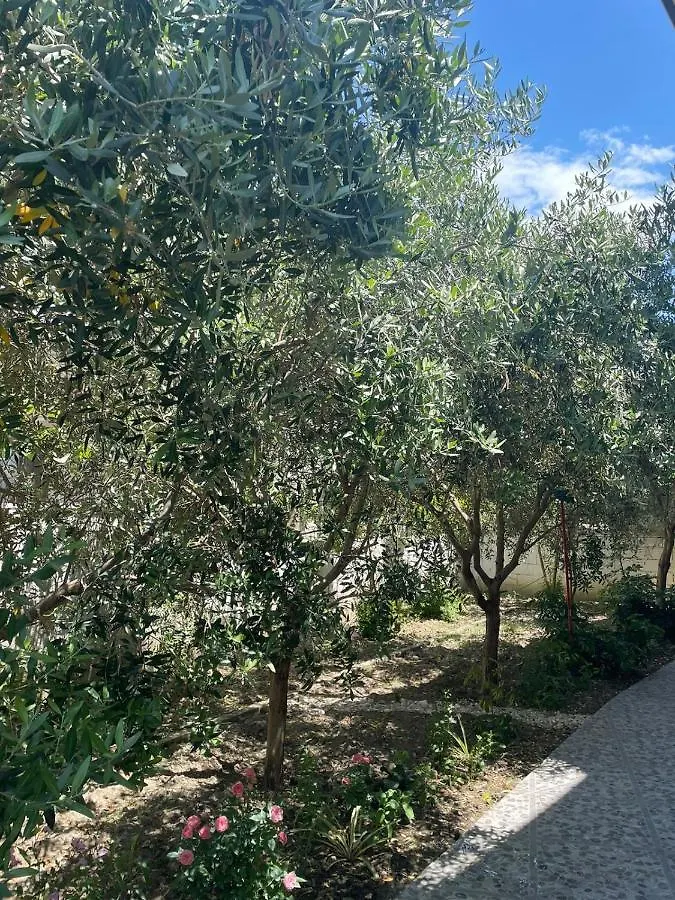Rent Rooms Loren Vlore Holiday home