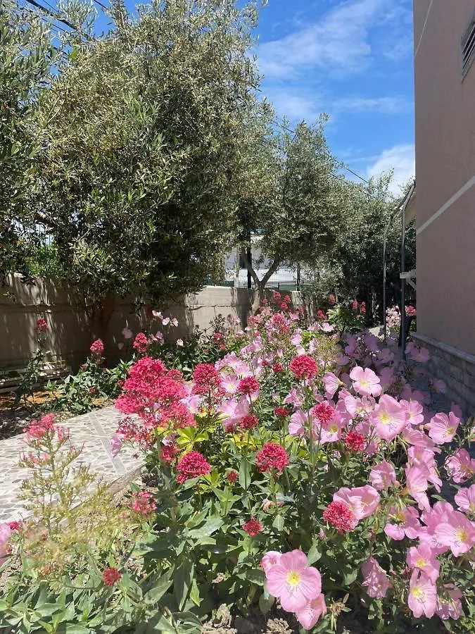 Rent Rooms Loren Vlore Holiday home