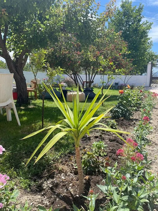 Rent Rooms Loren Vlore