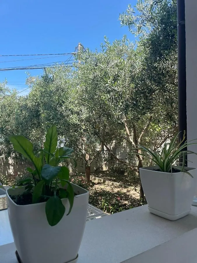 Rent Rooms Loren Vlore 0*,  Albania
